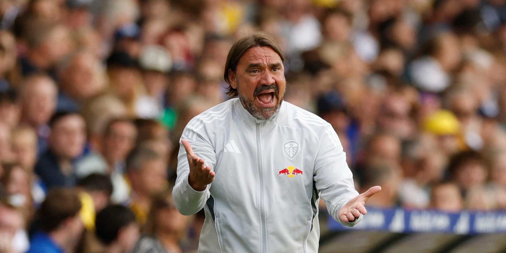 Leeds United manager Daniel Farke