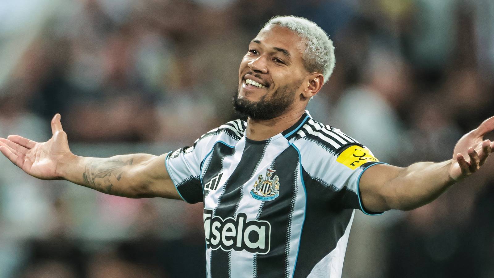 Joelinton Tái Khẳng Định Giá Trị – Newcastle Cần Sức Mạnh Tuyến Giữa Joelinton Tái Khẳng Định Giá Trị – Newcastle Cần Sức Mạnh Tuyến Giữa