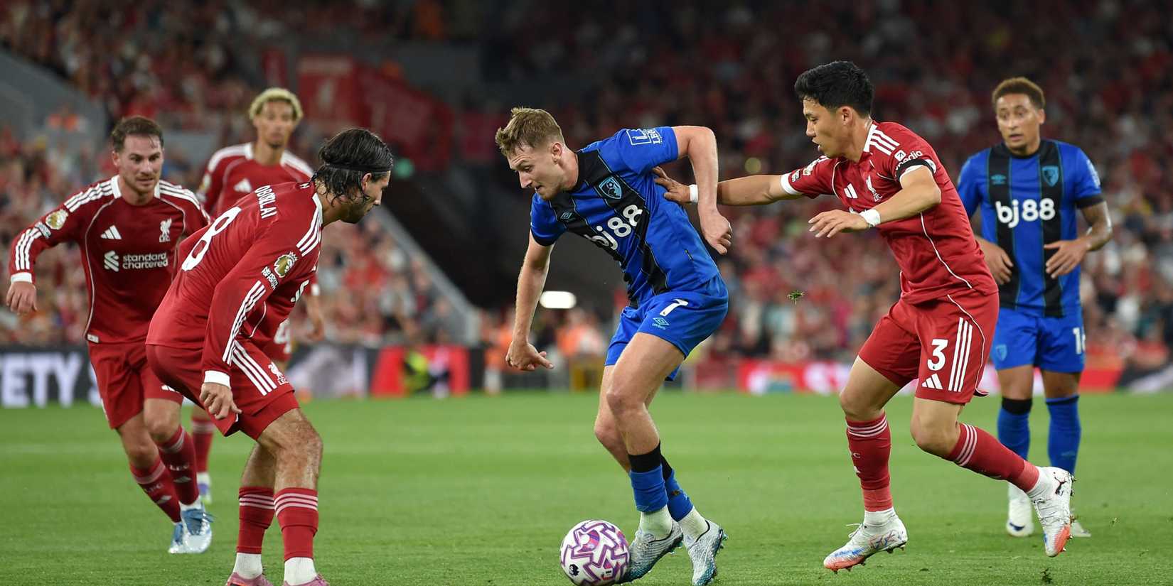 MixCollage-15-Aug-2025-09-52-PM-9789