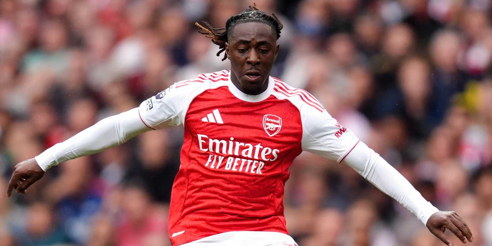 eze arsenal forest