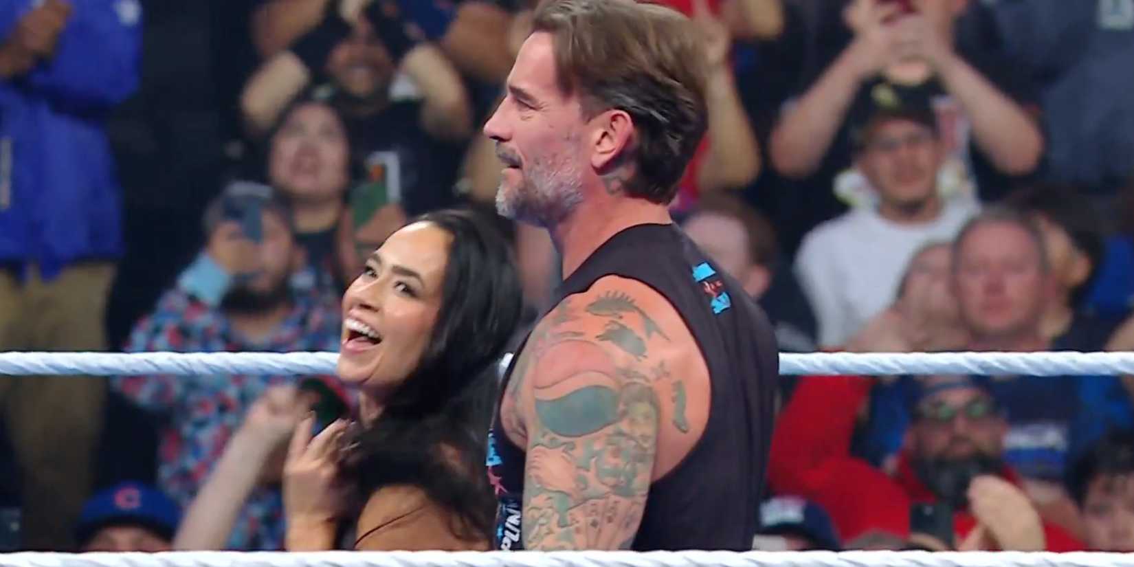 AJ Lee CM Punk