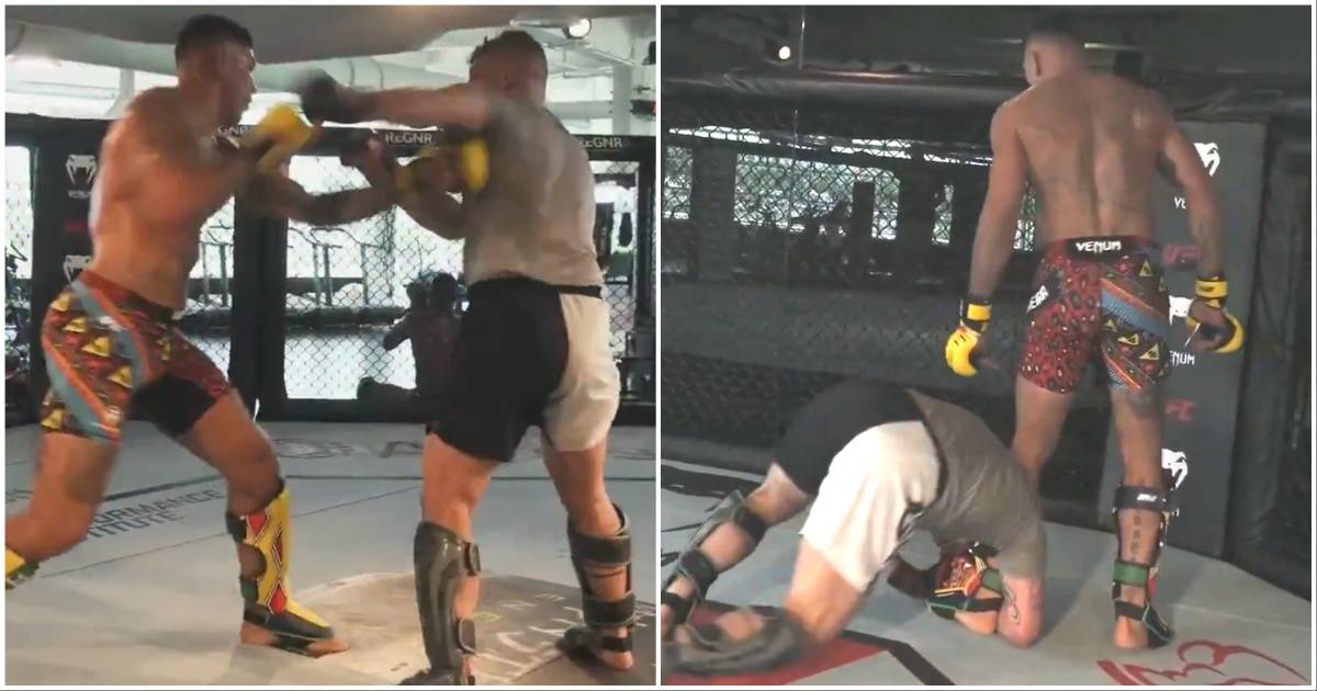 Alex Pereira Leaves UFC 320 Sparring Partner Needing Stitches