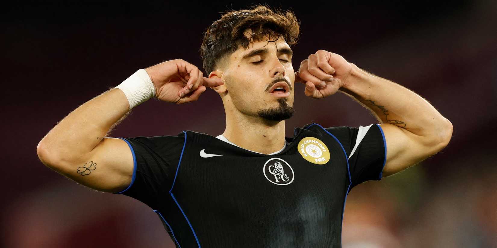 pedro neto