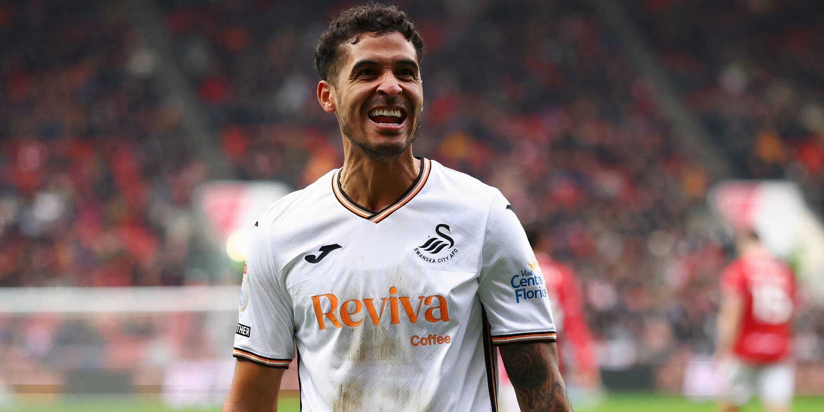 swansea city