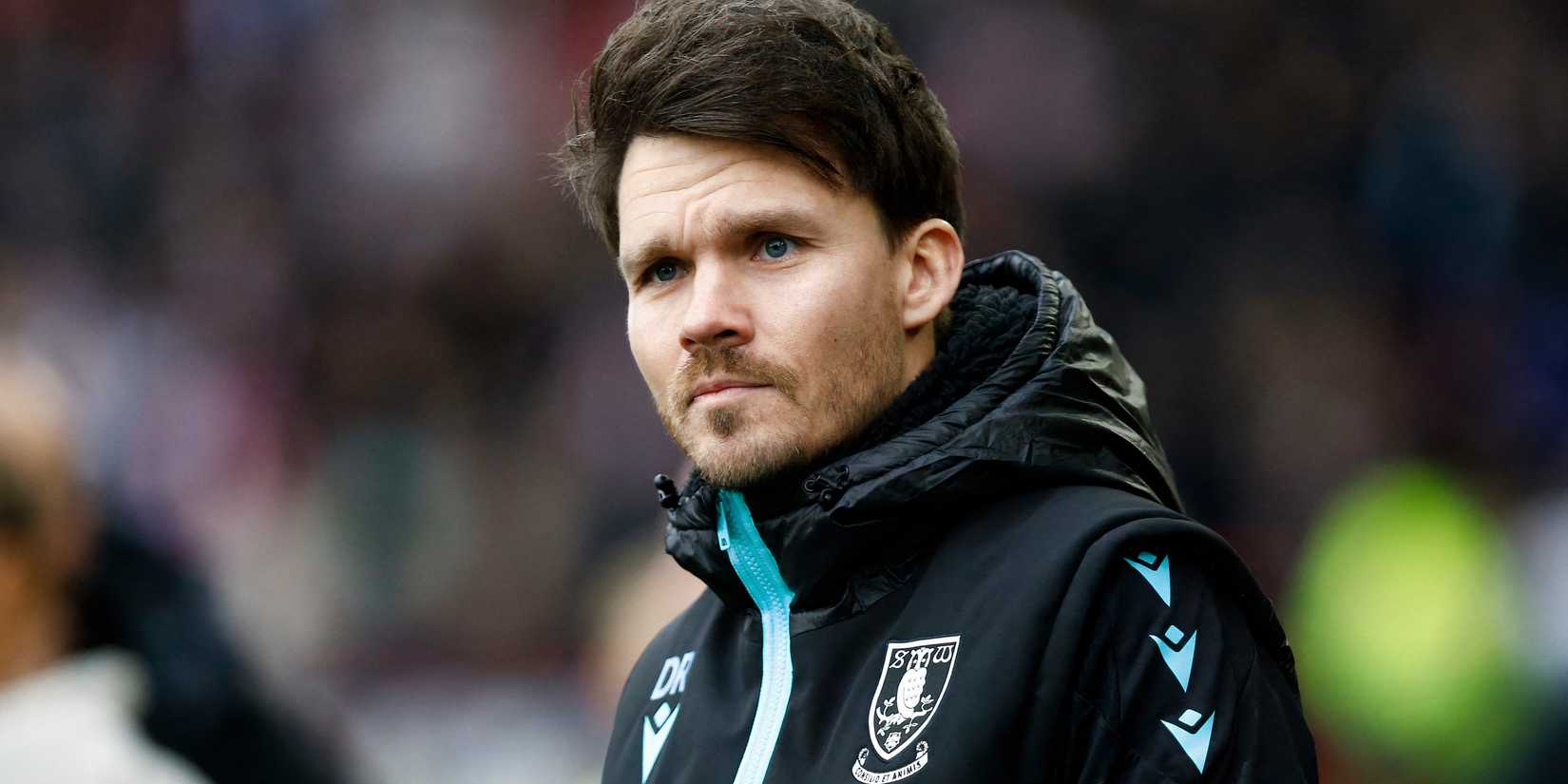 Danny Rohl while in charge at Sheffield Wednesday
