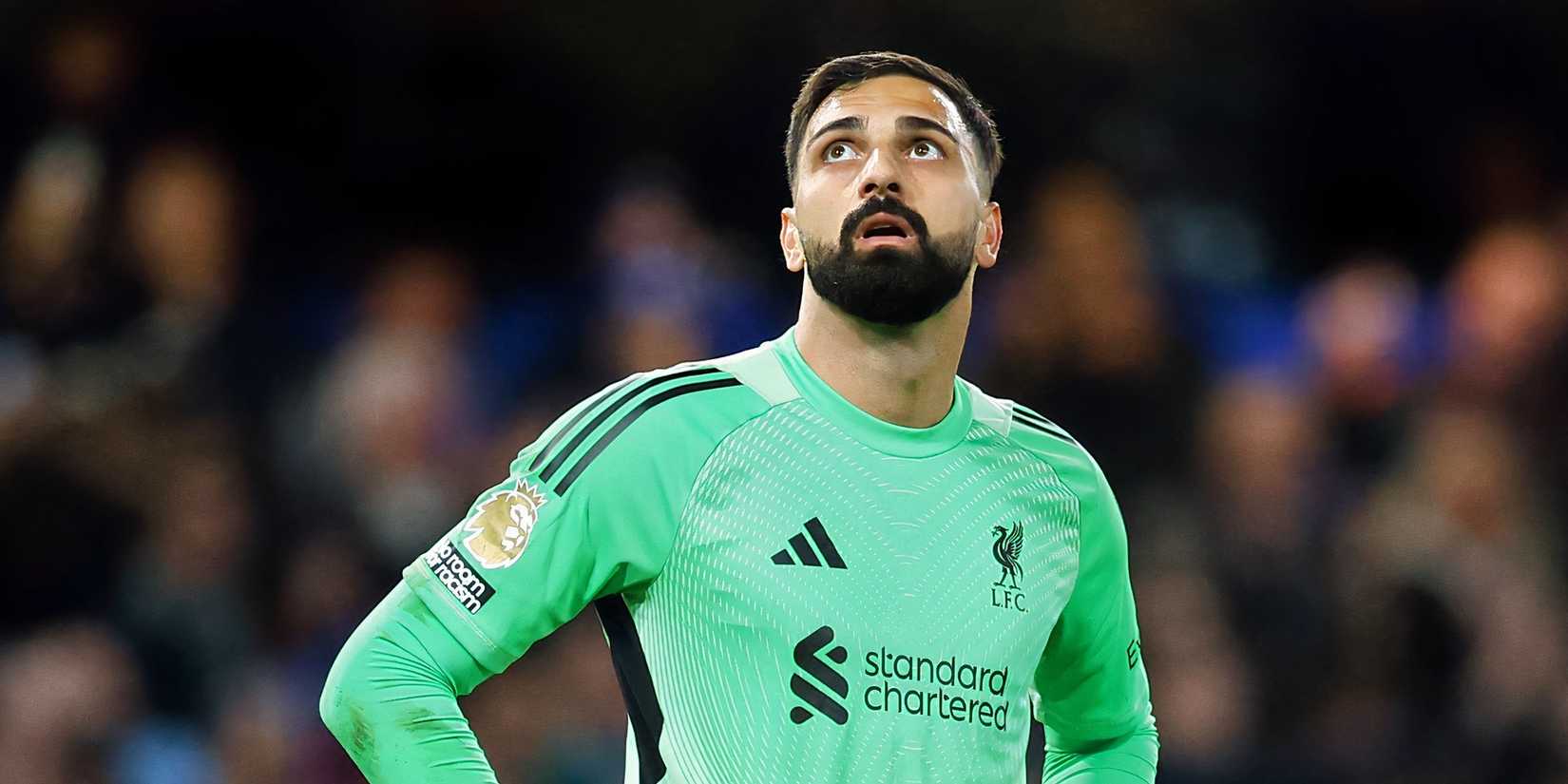 giorgi mamardasvhili