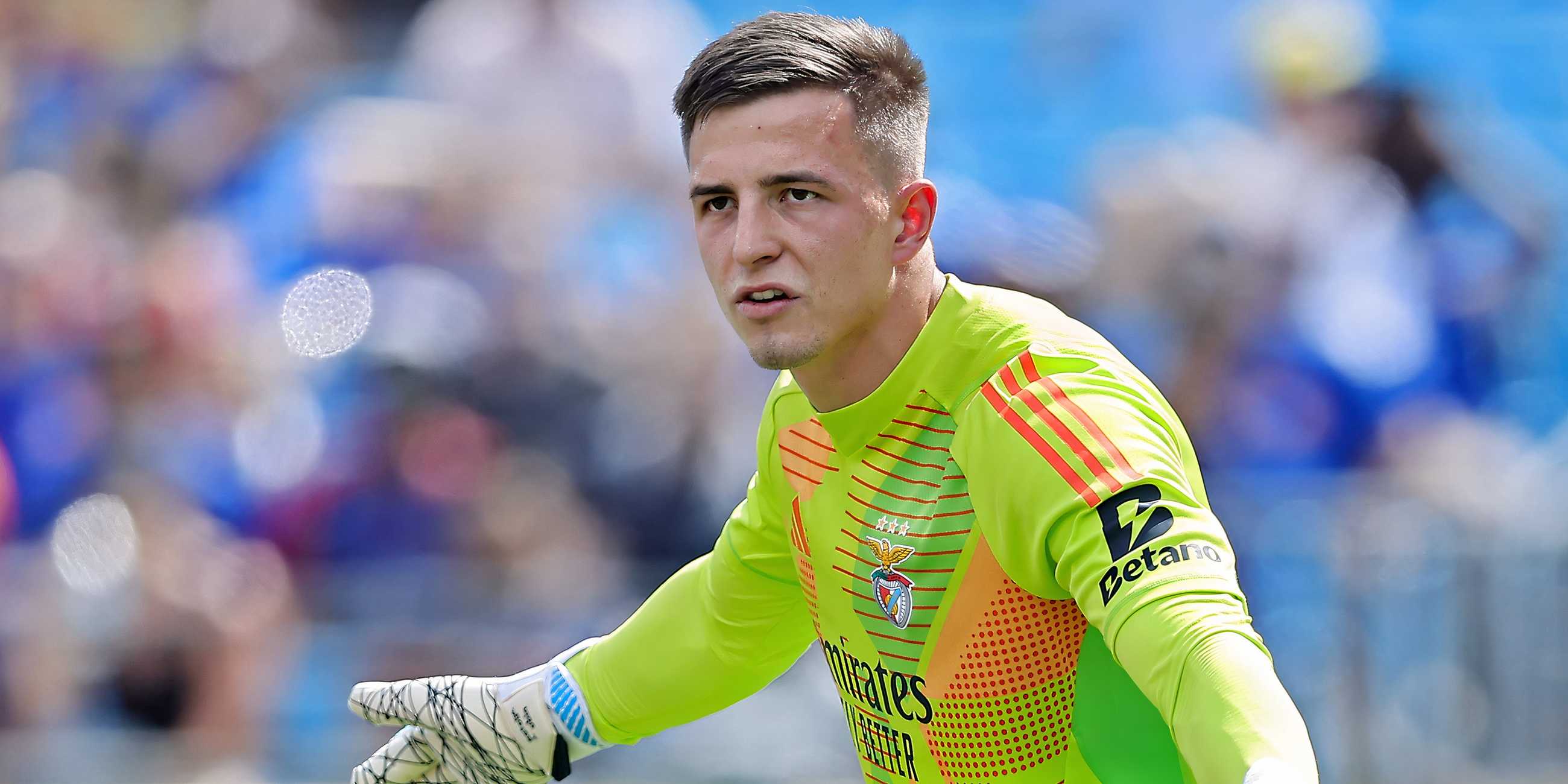 Anatoliy Trubin in action for Benfica
