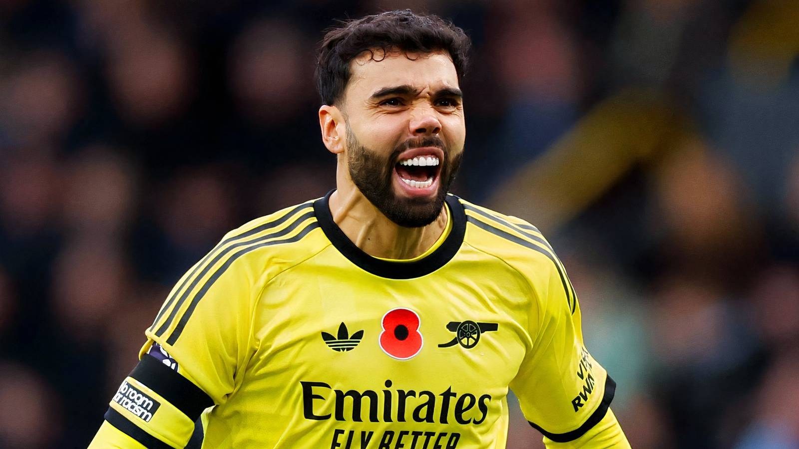 David Raya: Micah Richards Names Two Goalkeepers Better Than Arsenal Star