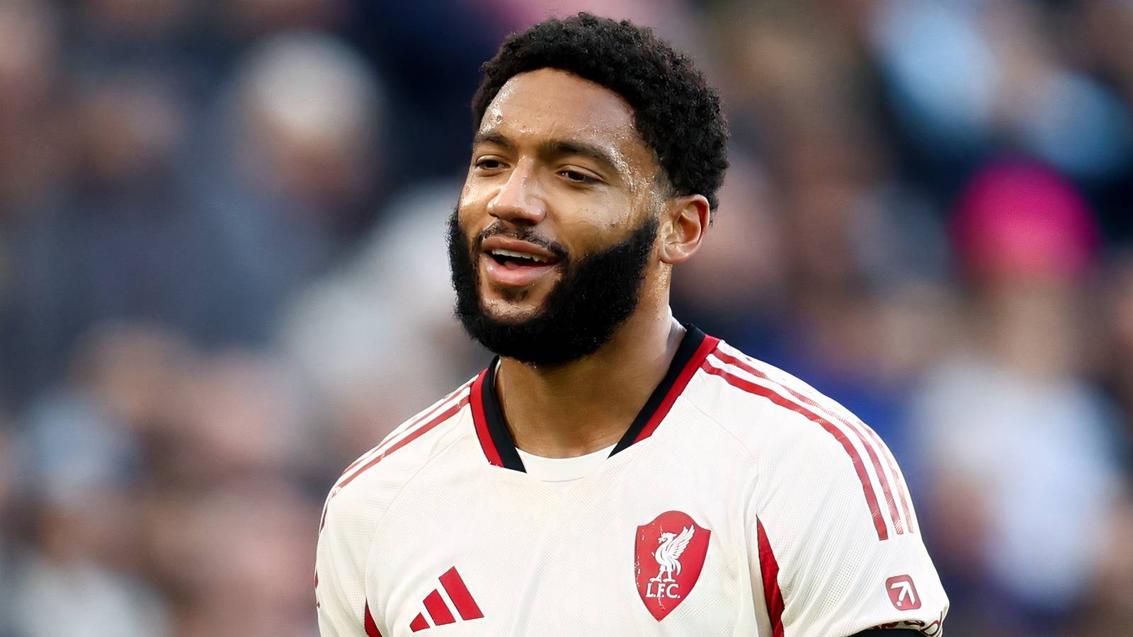 Liverpool to Avoid Defender Signing Despite Gomez Injury