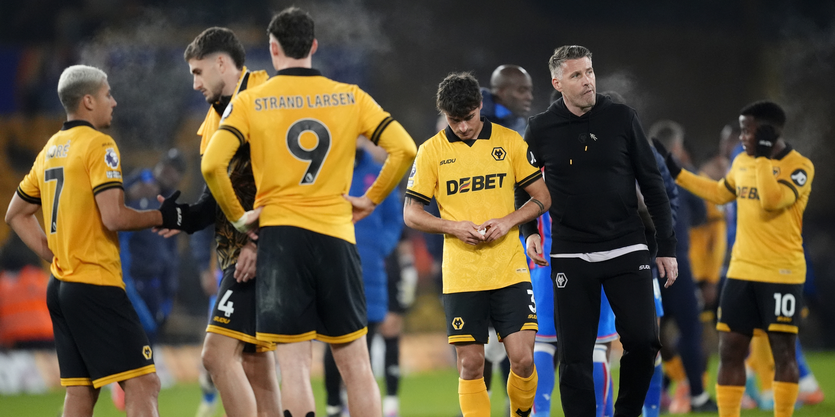 Wolves Form Rob Edwards Rob Edwards Creating Tailored Fitness Plans for Wolves Stars