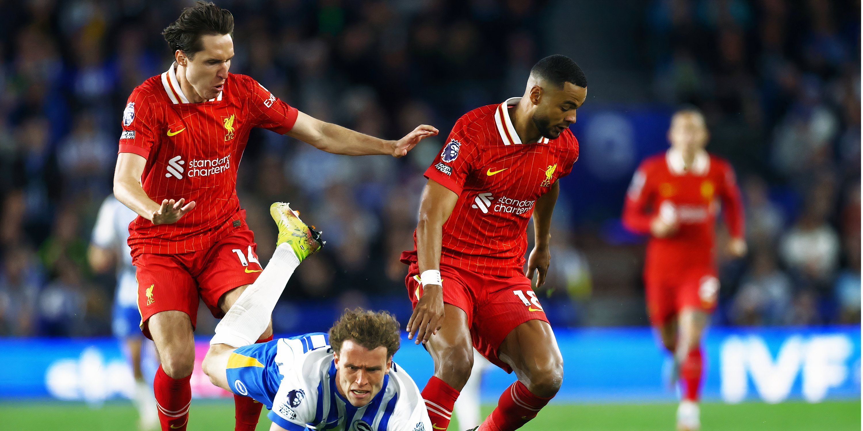 Liverpool vs Brighton Betting Tips and Predictions