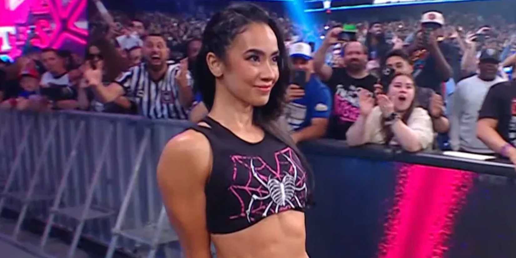 AJ Lee returns
