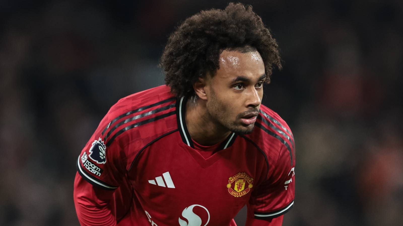 Man Utd to Make 'Official Approach' For £40M Striker to Replace Zirkzee