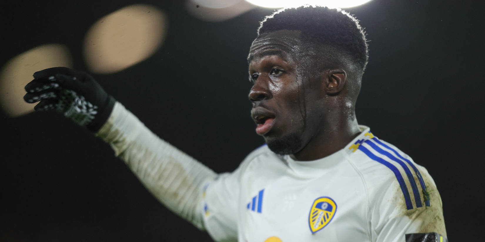 Wilfried Gnonto Leeds