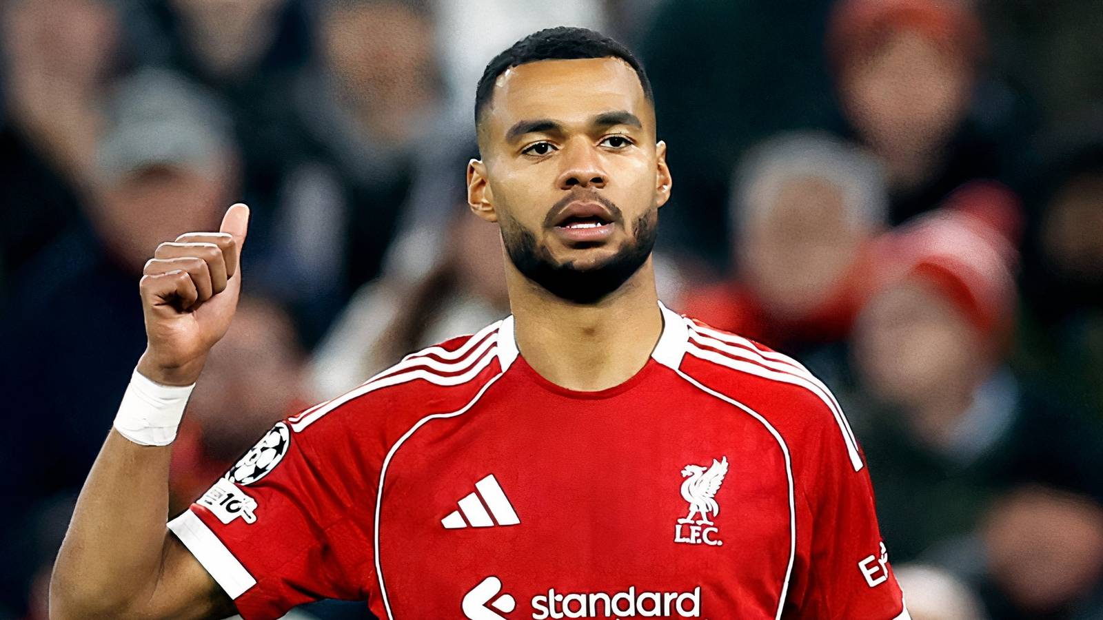 Romano Explains Liverpool Stance on Gakpo Exit as Man City Talks Advance - GiveMeSport