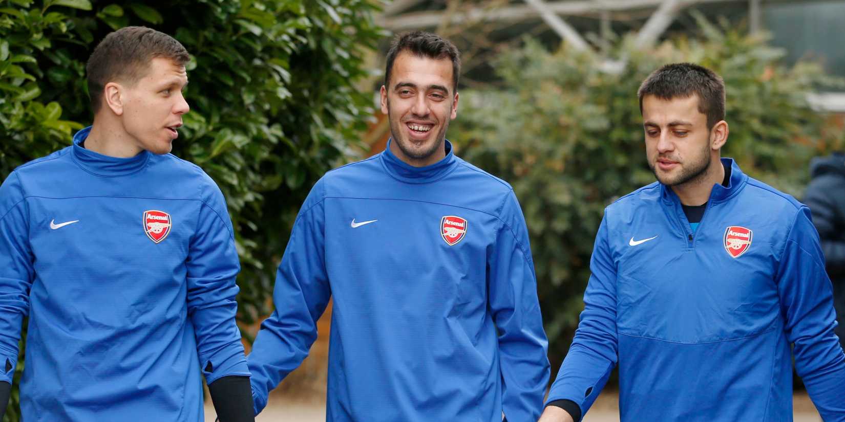 Arsenal goalkeepers 13/14