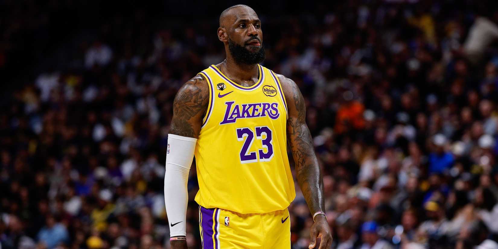LeBron James Lakers