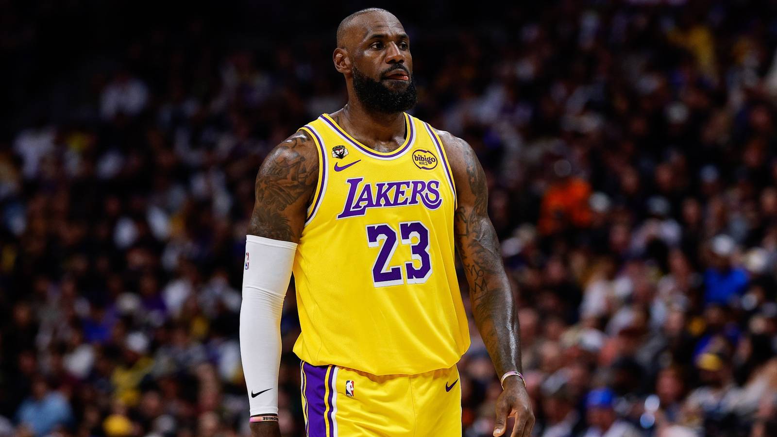 LeBron James Lakers