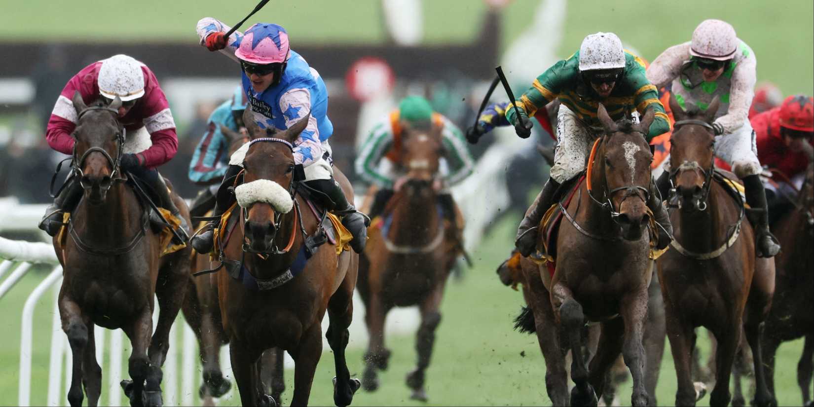 Cheltenham Festival | Horse Racing