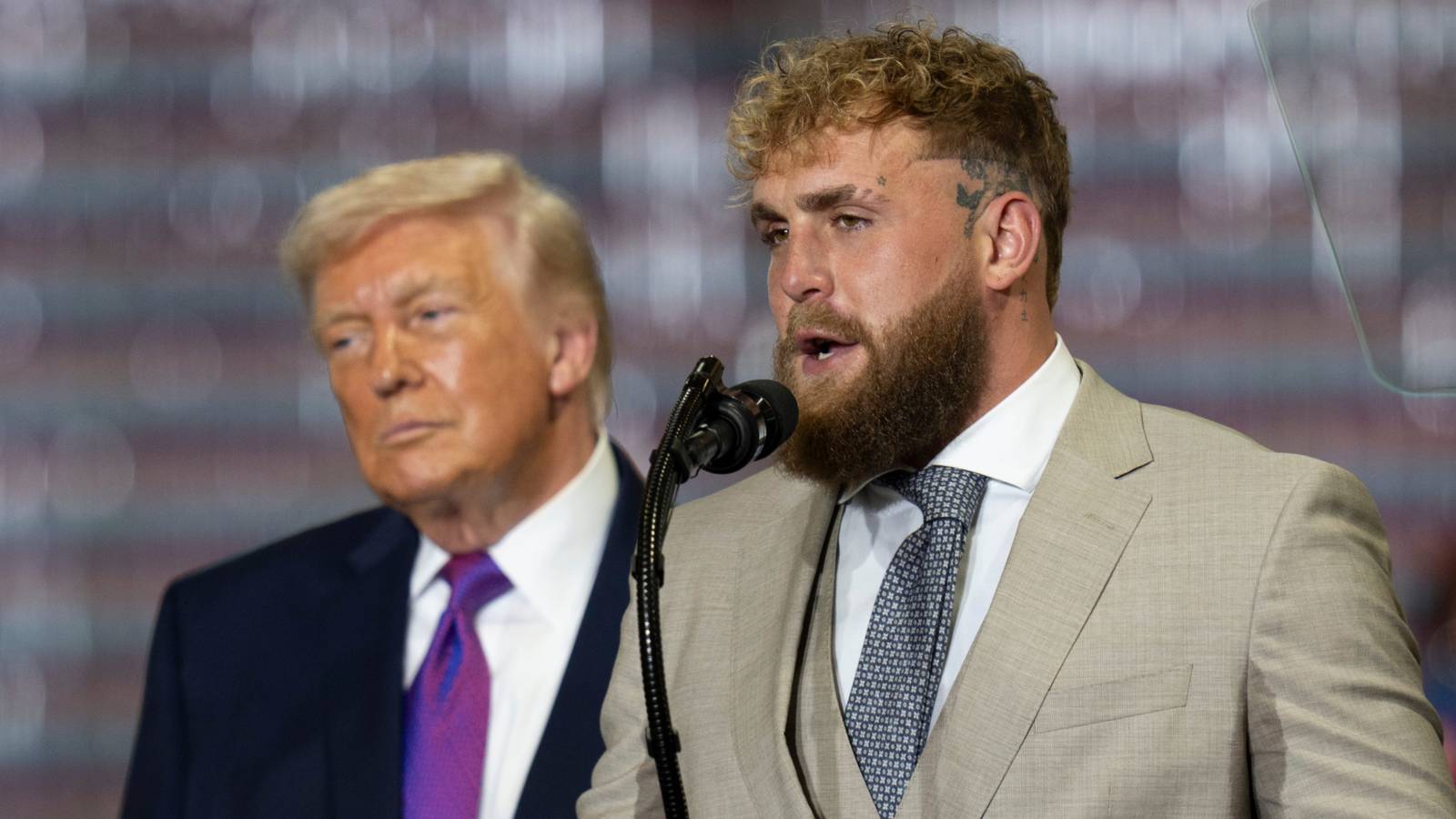 How Americans Feel About Jake Paul After Donald Trump Endorsement