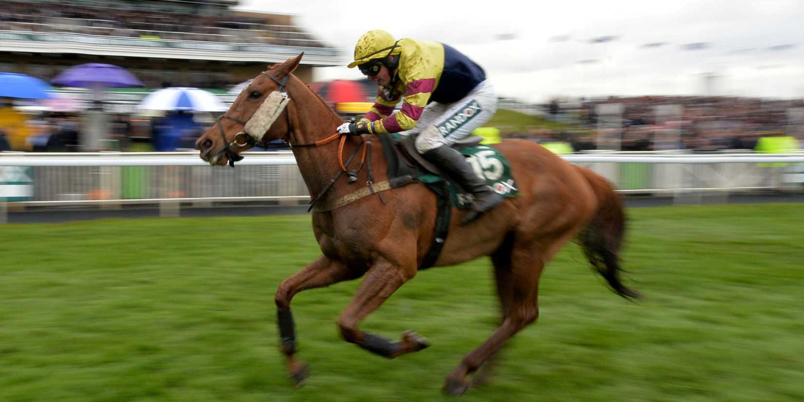Horse Racing