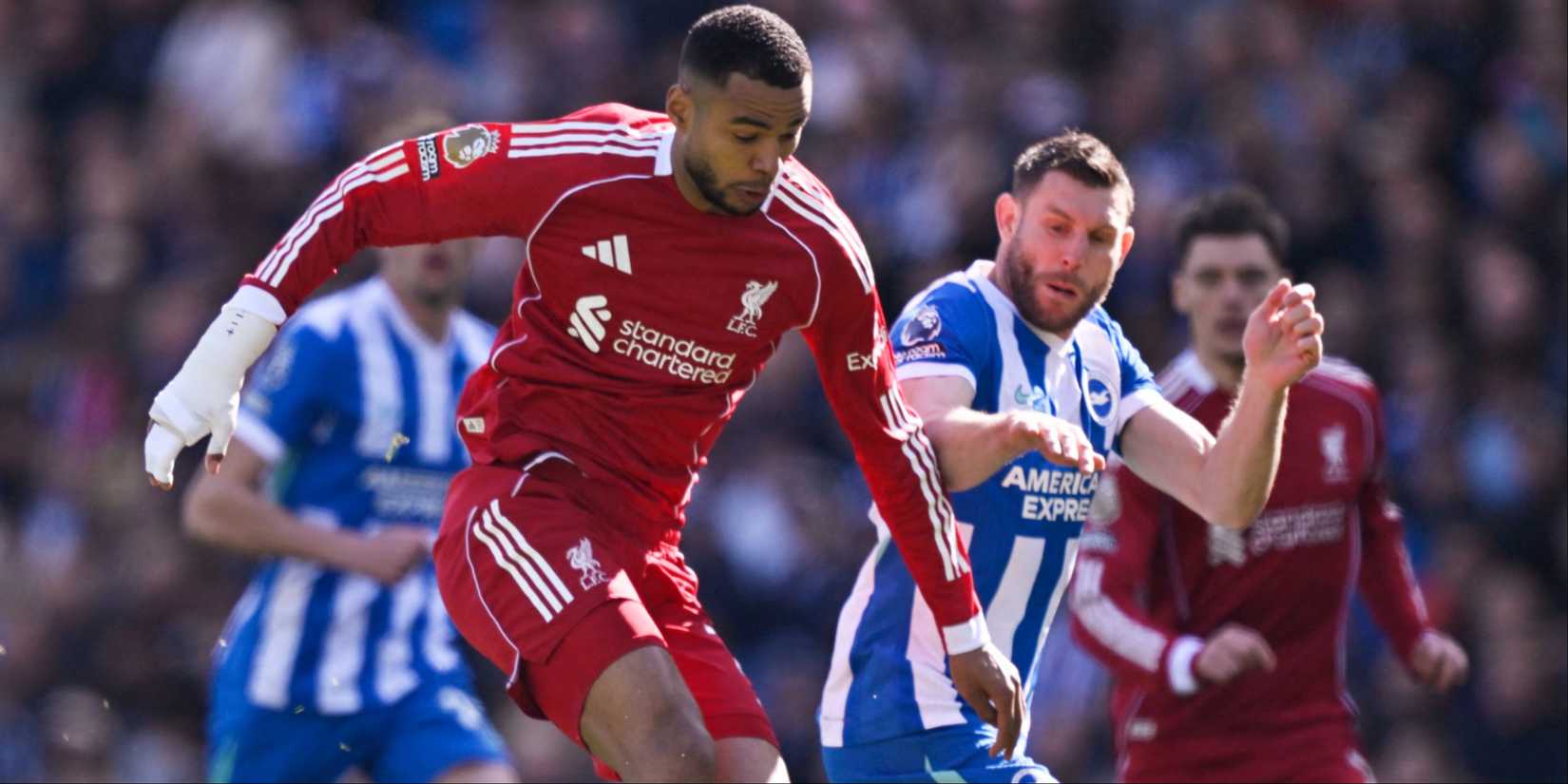 Cody Gakpo and James Milner (Brighton vs Liverpool)