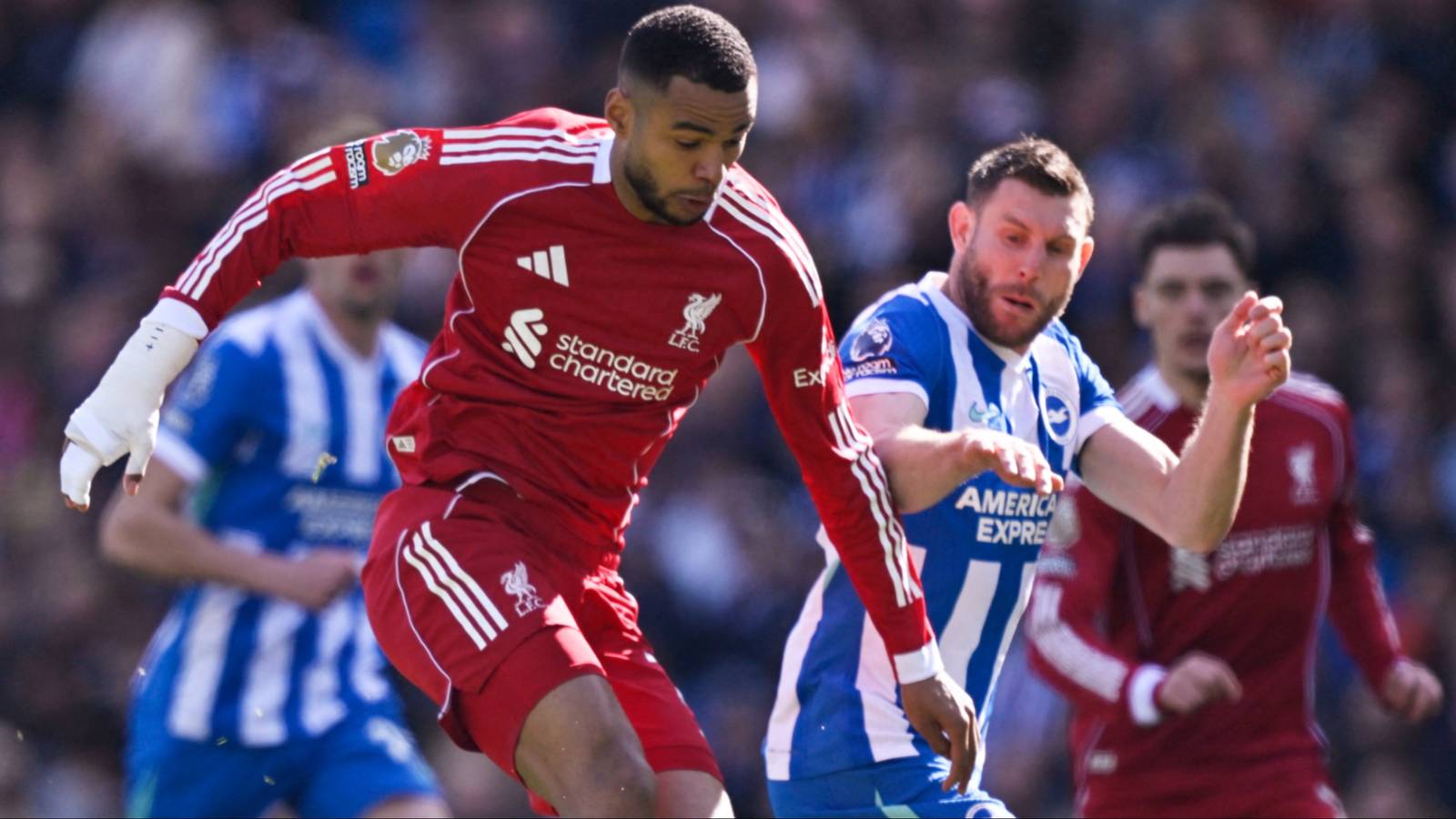 Liverpool Ready to Green Light Gakpo's Tottenham Move