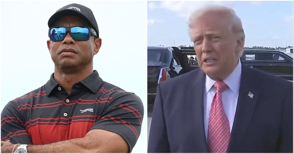 Breaking donald — full analysis