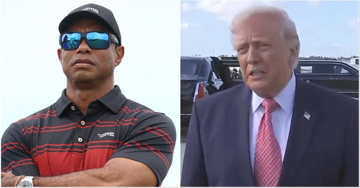 Breaking donald — full analysis