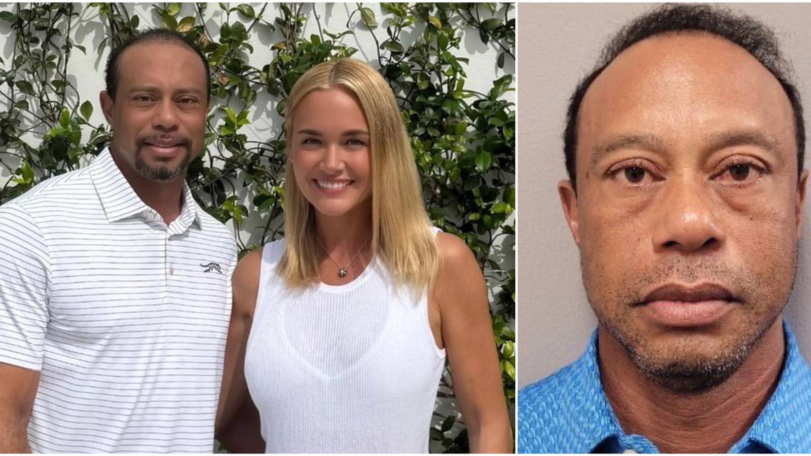 Vanessa trump's — full analysis