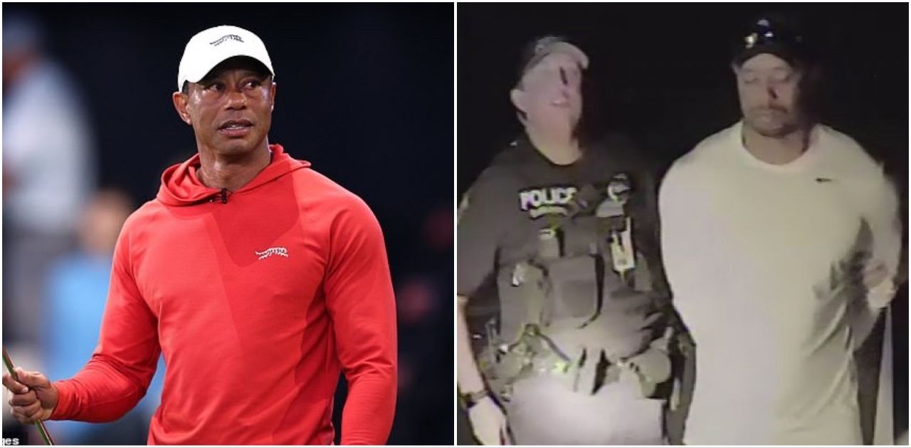 Update tiger — full analysis