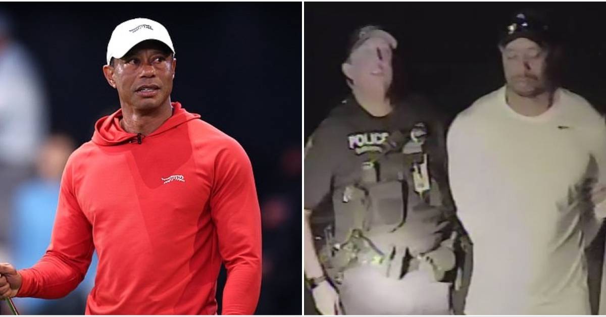Update tiger — full analysis