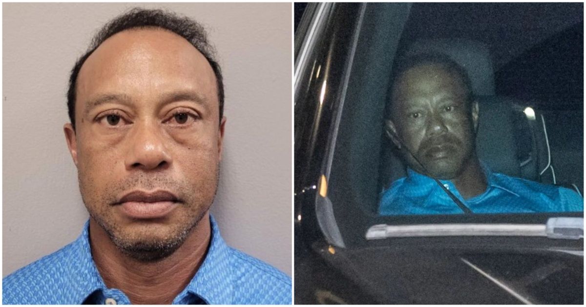 Tiger woods — key details