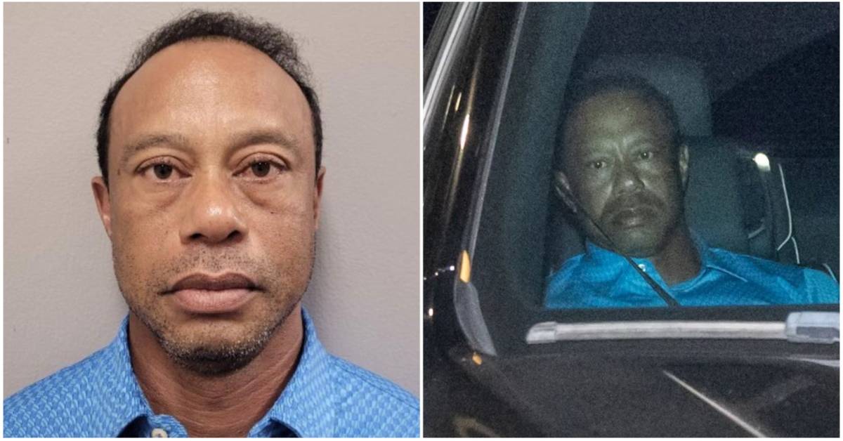 Tiger woods — key details