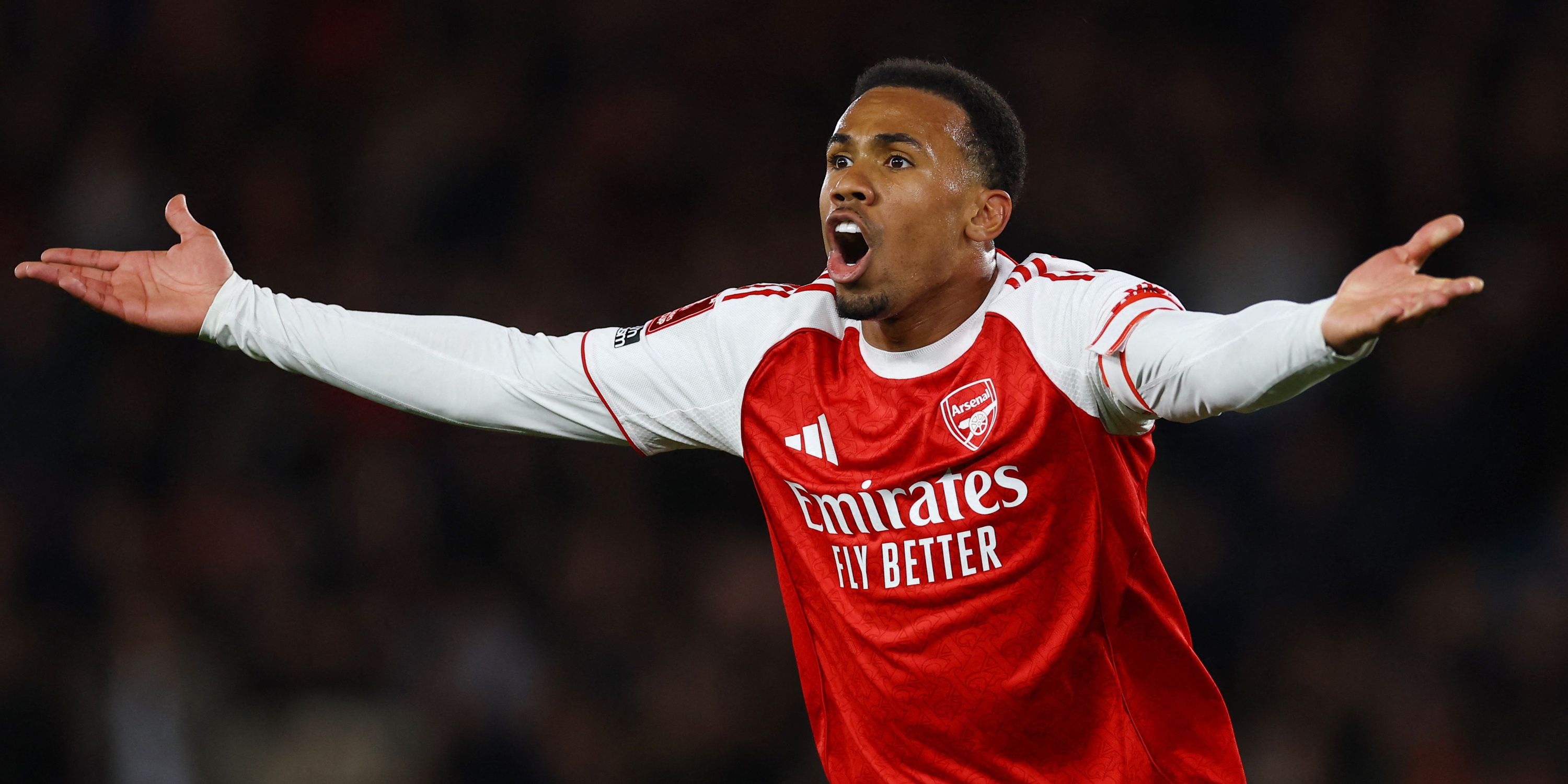 Arsenal - the Premier League