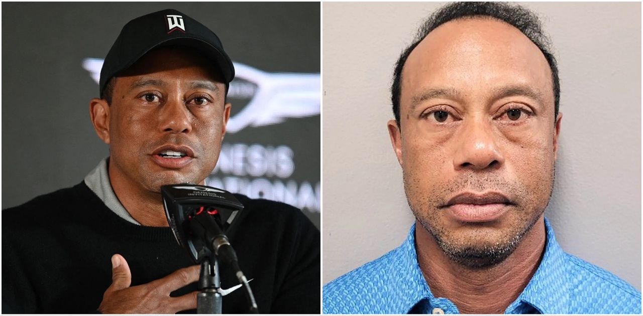 Tiger woods — key details