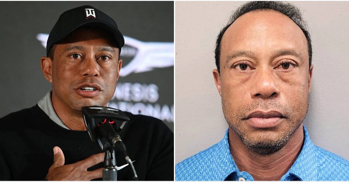 Tiger woods — key details