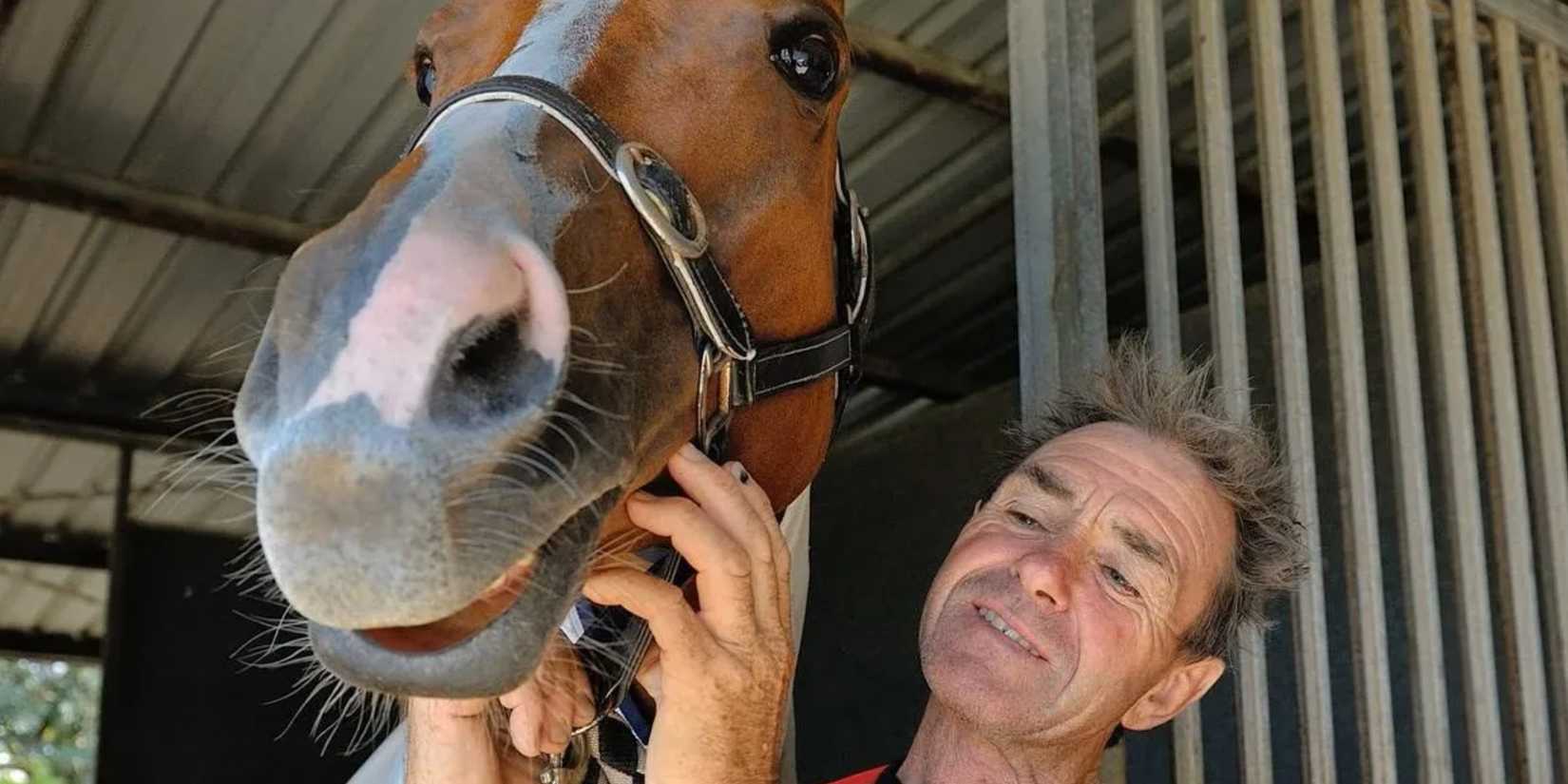Image of Shane McGovern and his horse, via The Sun