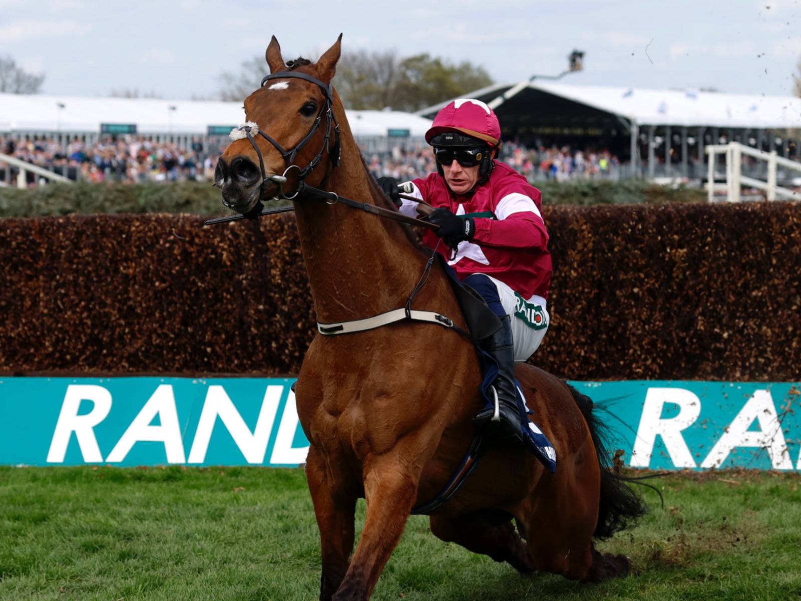 Horse Racing | GiveMeSport