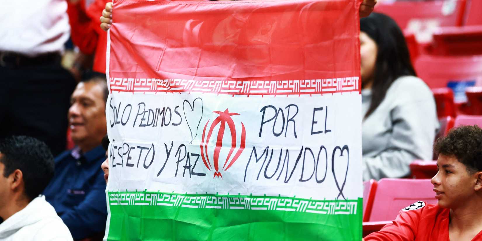 A fan holds up the flag of Iran in the stands before the match between New Caledonia v Jamaica