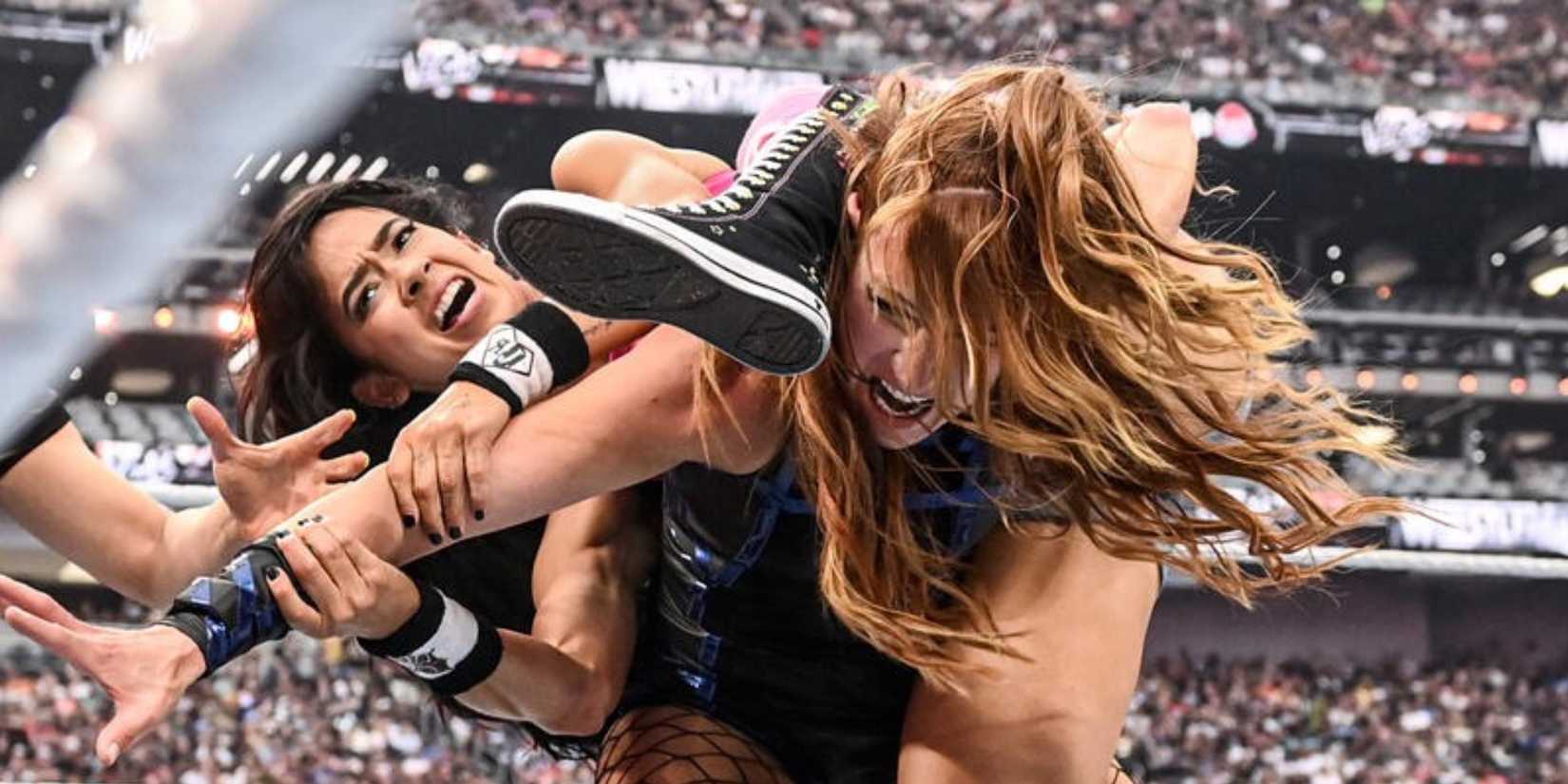 AJ Lee vs Becky Lynch