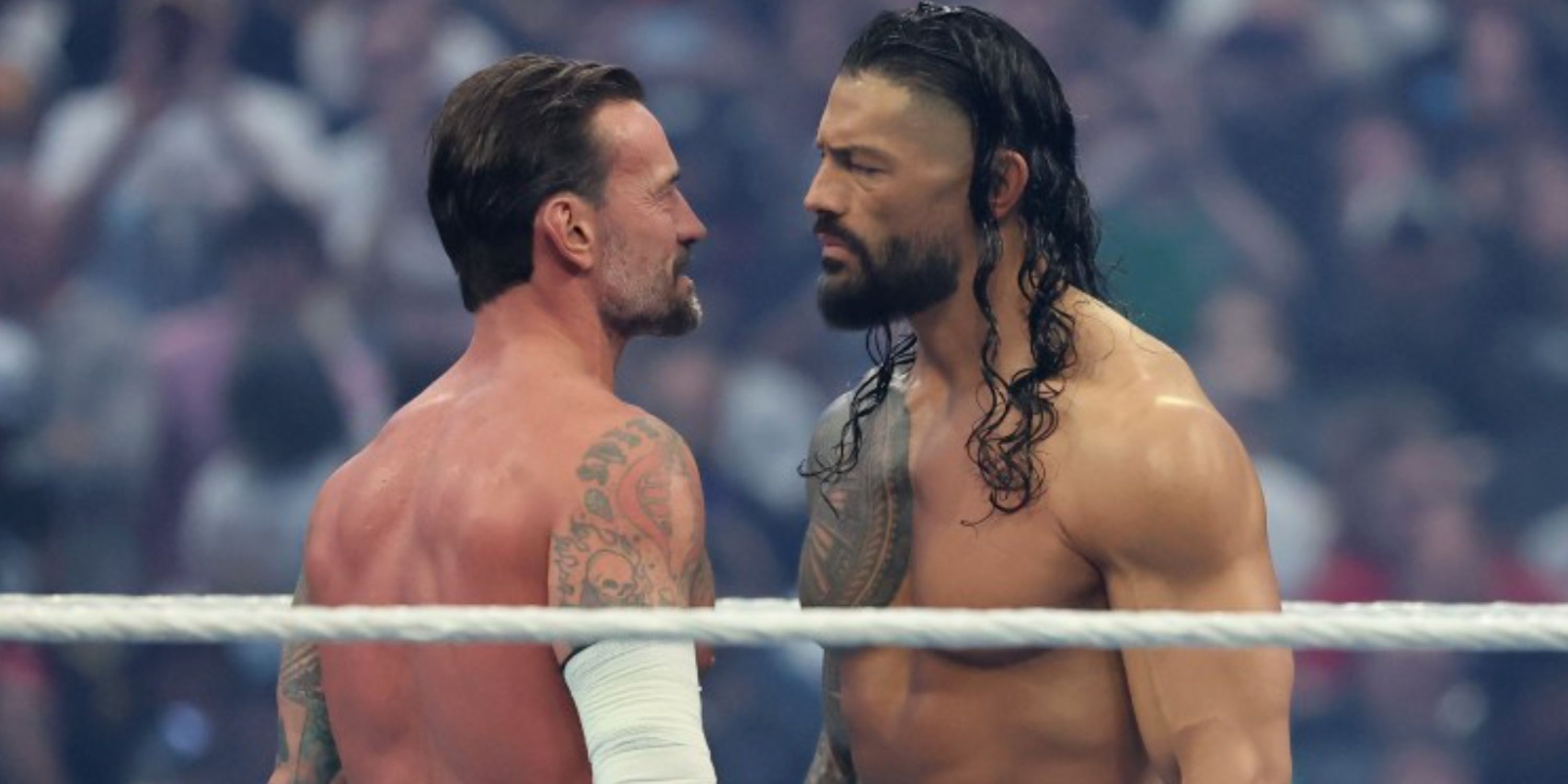 CM Punk and Roman Reigns