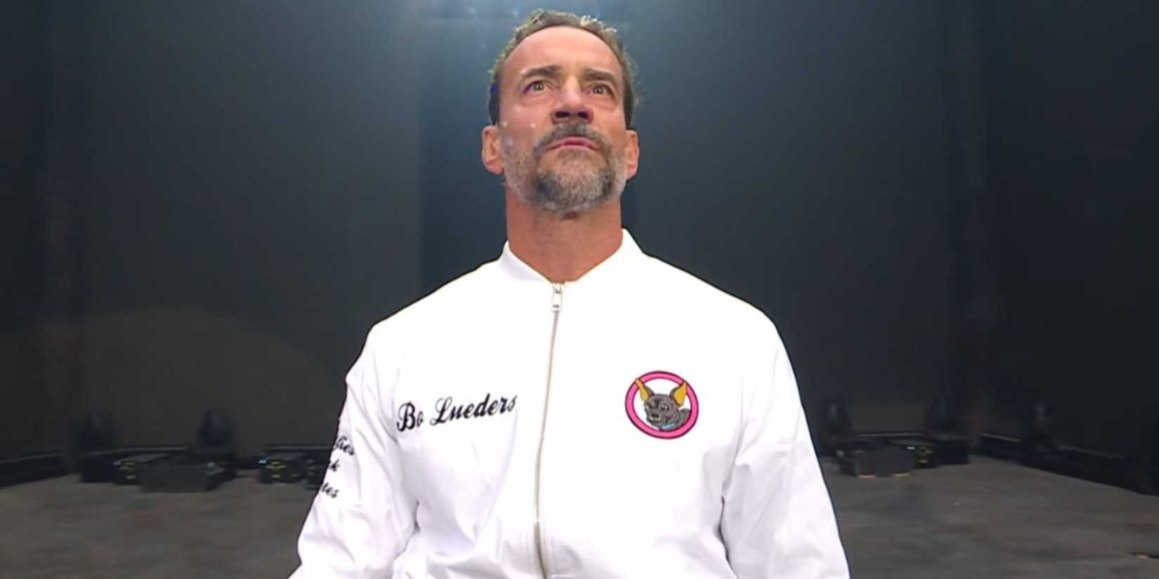 CM Punk