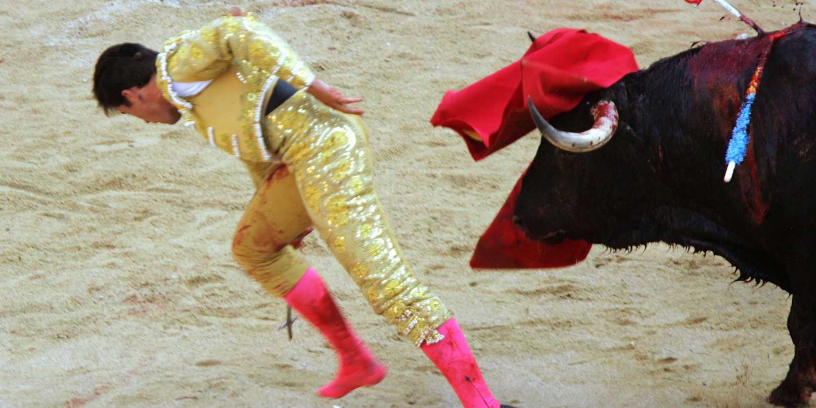 Bullfighting