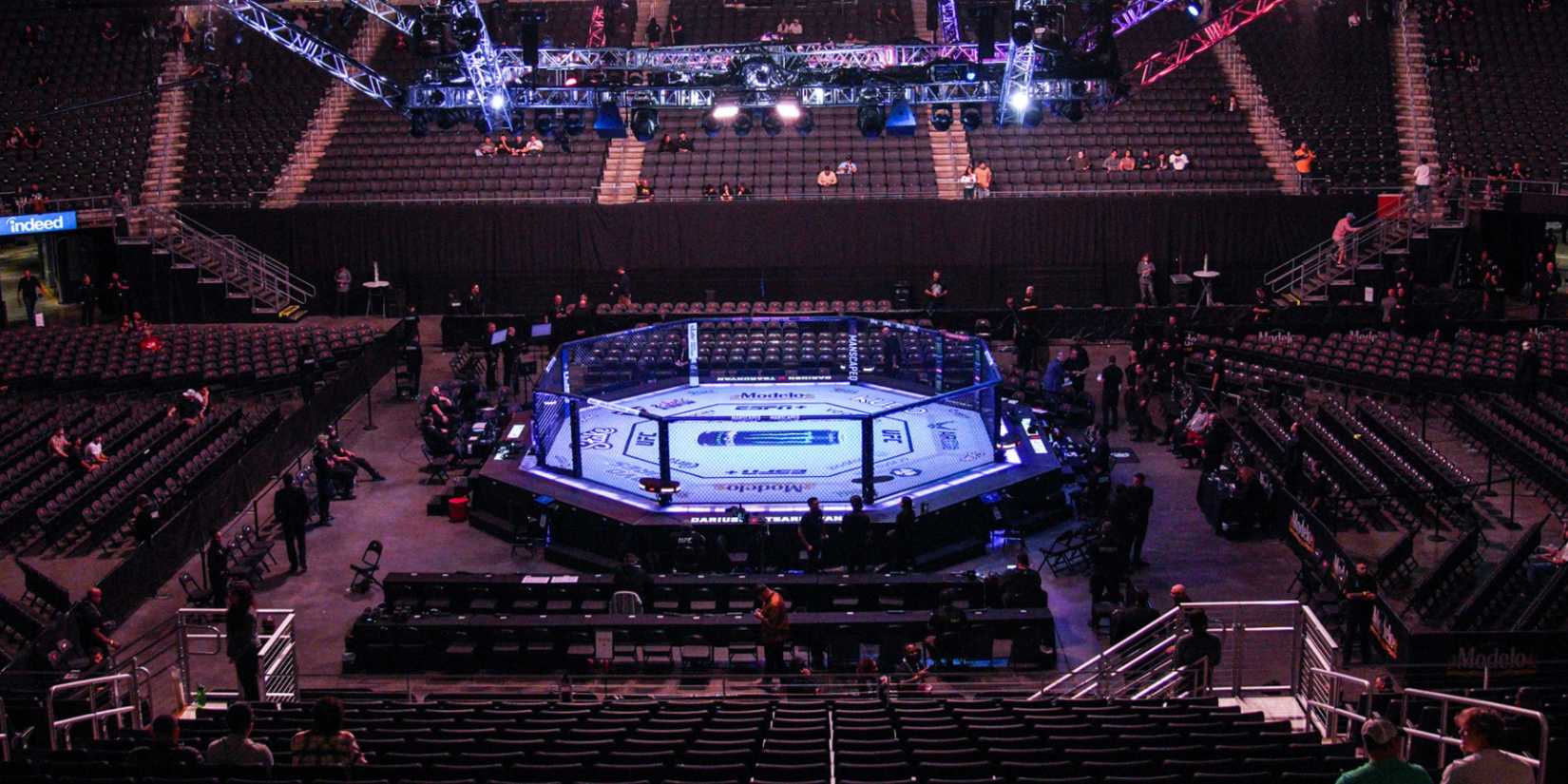 UFC Octagon