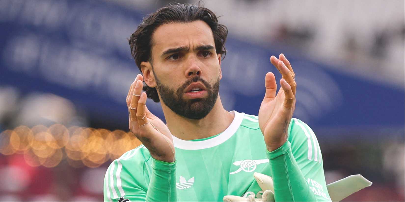 David Raya