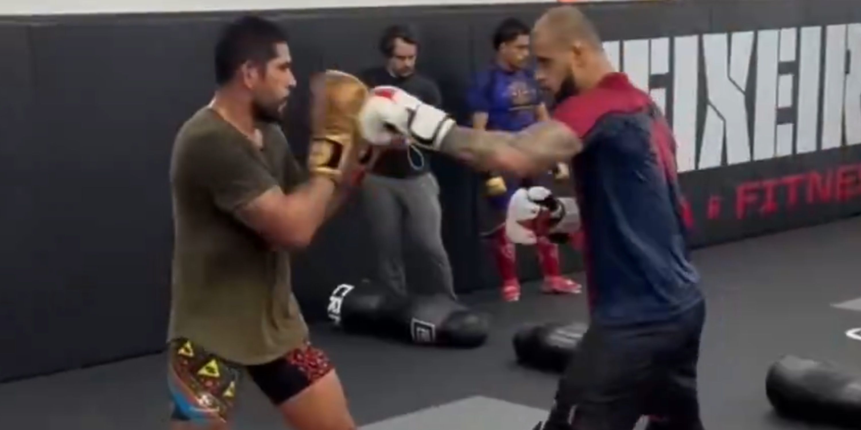 Alex Pereira sparring Tallison Teixeira