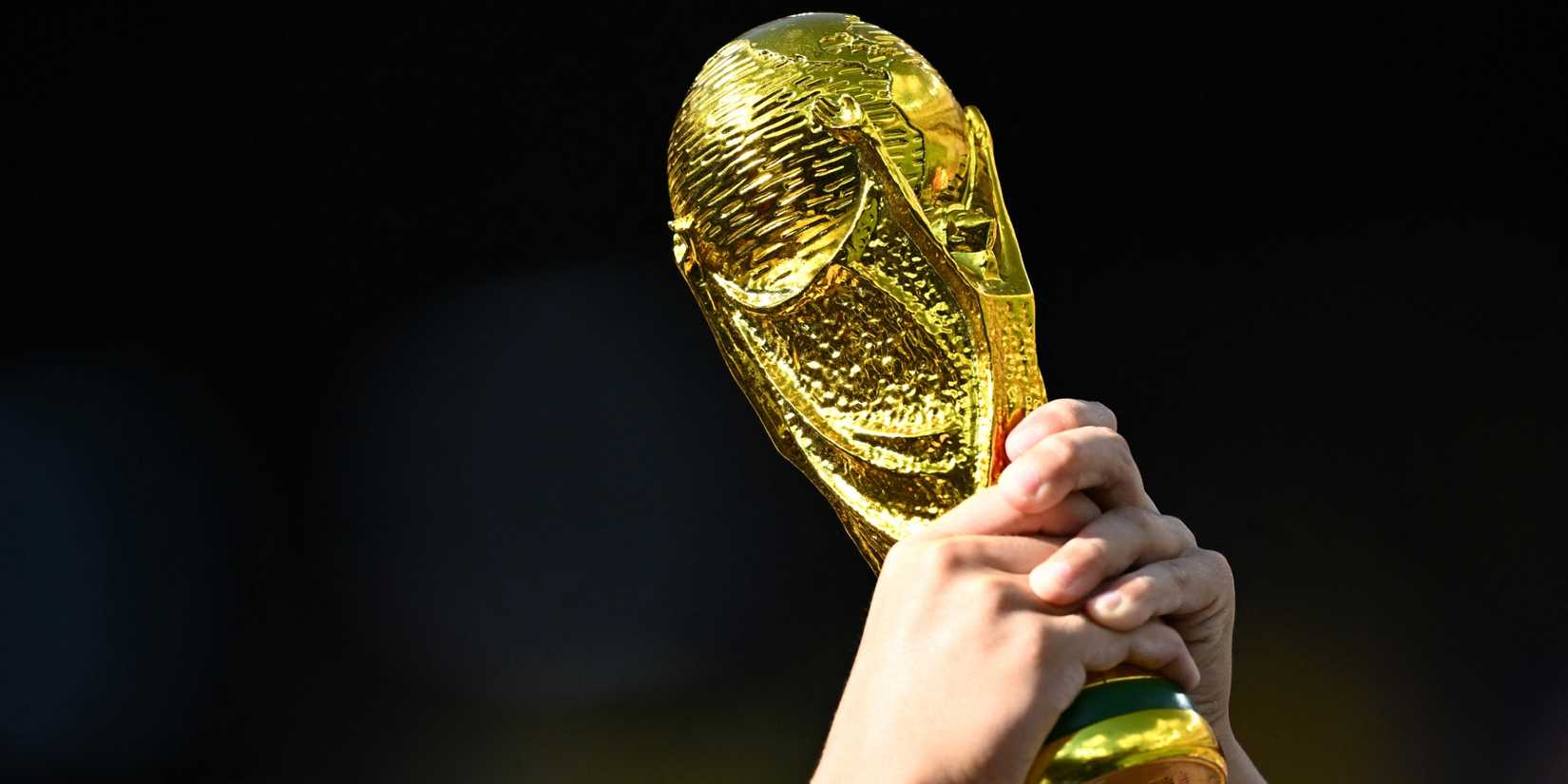 Replica World Cup trophy