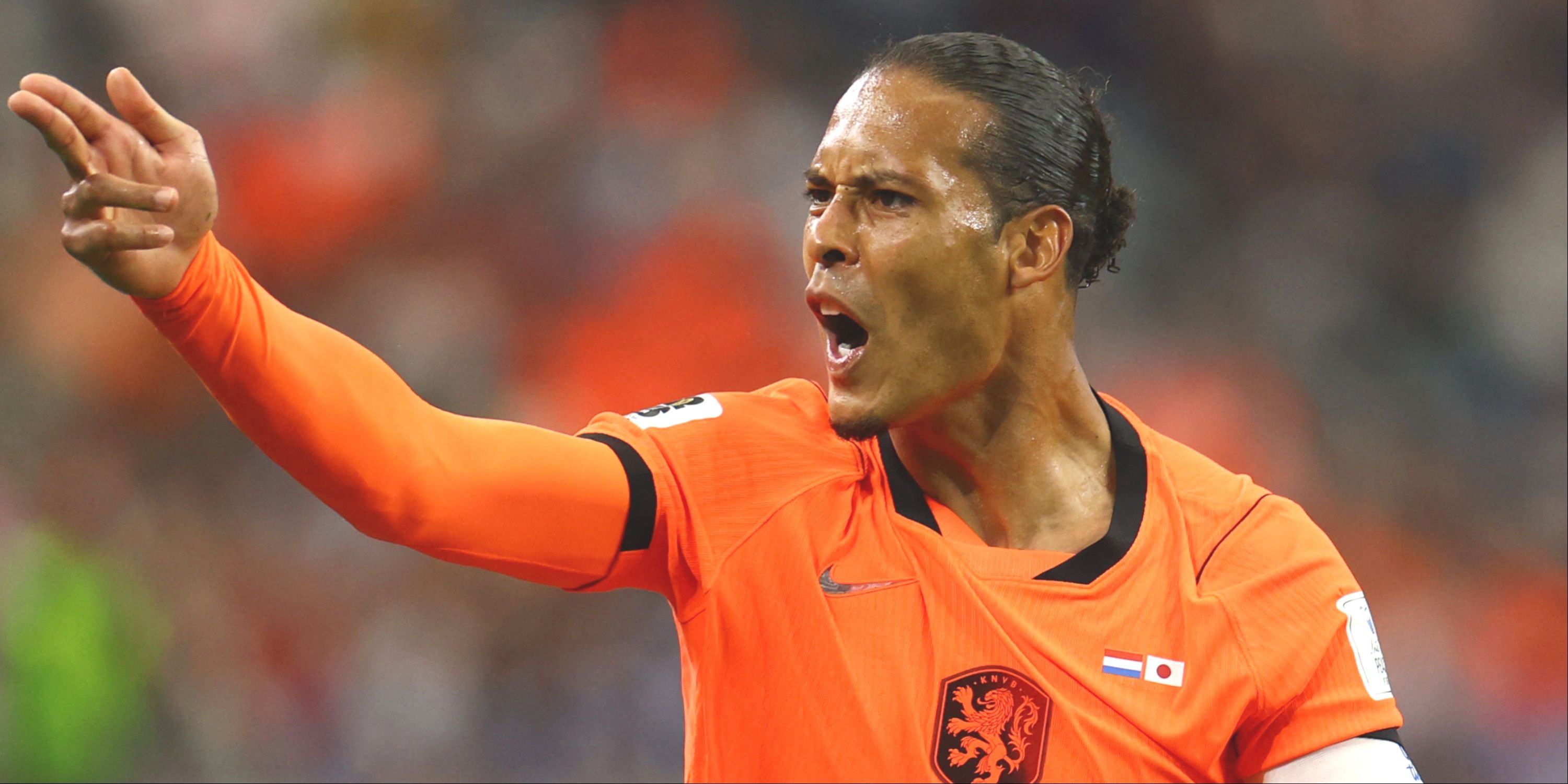 Virgil van Dijk | Netherlands