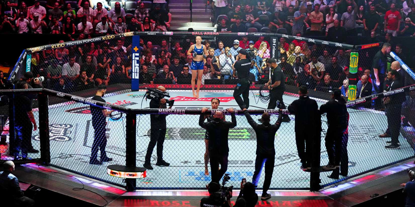 UFC Octagon